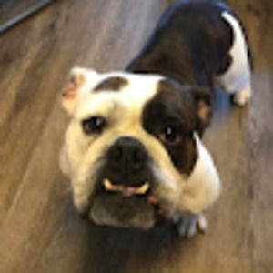 Meet your Posher, Angie